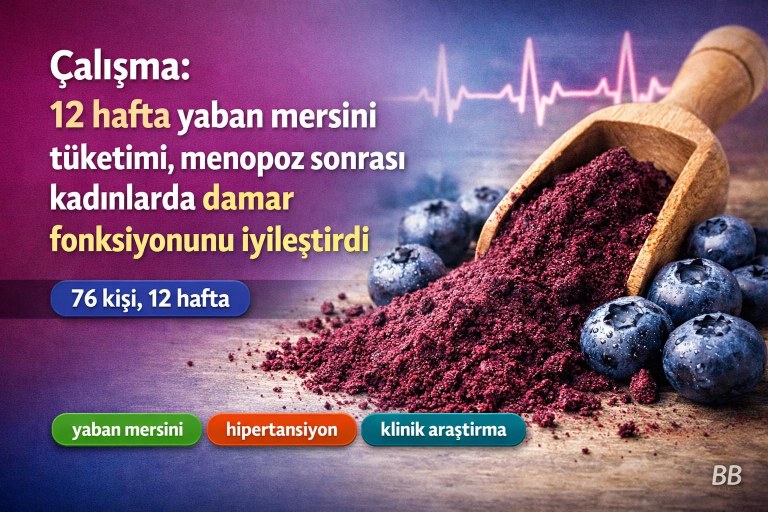Çalışma: 12 hafta yaban mersini tüketimi, menopoz sonrası kadınlarda damar fonksiyonunu iyileştirdi görseli