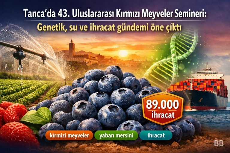 Tanca'da 43. Uluslararası Kırmızı Meyveler Semineri: Genetik, su ve ihracat gündemi öne çıktı görseli