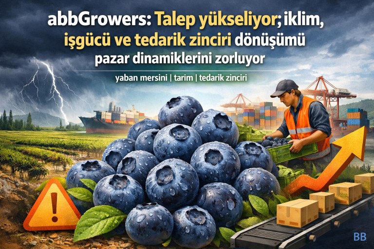 abbGrowers: Talep yükseliyor; iklim, işgücü ve tedarik zinciri dönüşümü pazar dinamiklerini zorluyor görseli