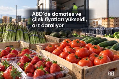 ABD’de domates ve çilek fiyatları yükseldi, arz daralıyor görseli