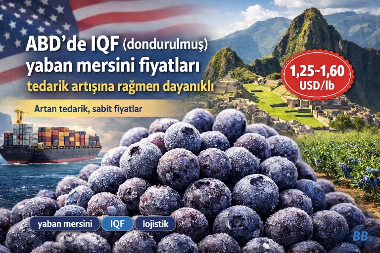 ABD'de IQF (dondurulmuş) yaban mersini fiyatları tedarik artışına rağmen dayanıklı görseli