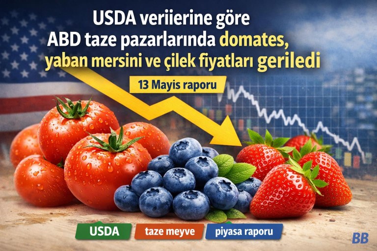 USDA verilerine göre ABD taze pazarlarında domates, yaban mersini ve çilek fiyatları geriledi görseli