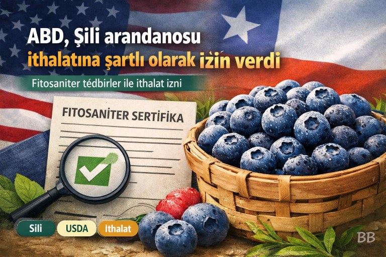 USDA, Şili menşeli arandanosun (berry) ABD'ye belirli fitosanitar tedbirlerle girişine onay verdi görseli