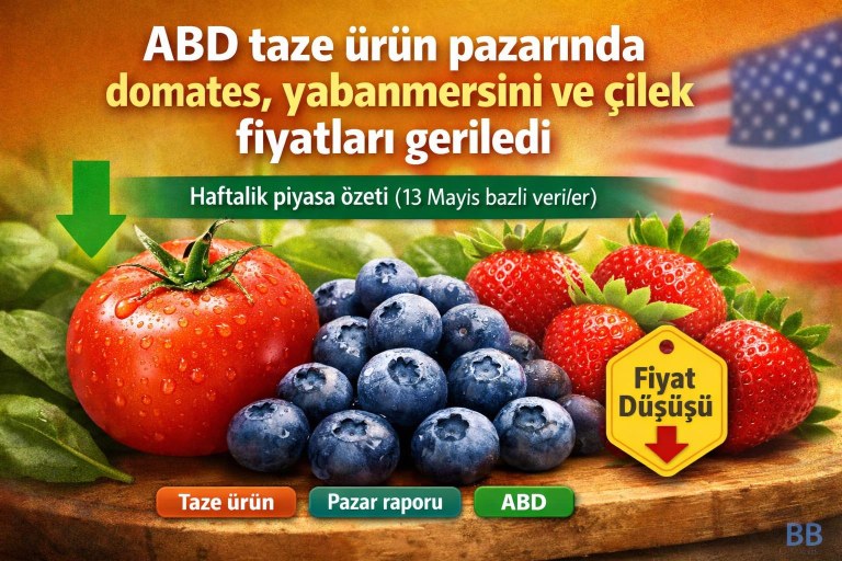ABD taze ürün pazarında domates, yabanmersini ve çilek fiyatları geriledi görseli