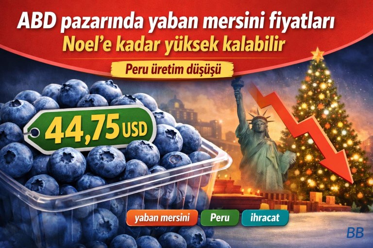 ABD pazarında yaban mersini fiyatları Noel’e kadar yüksek kalabilir görseli