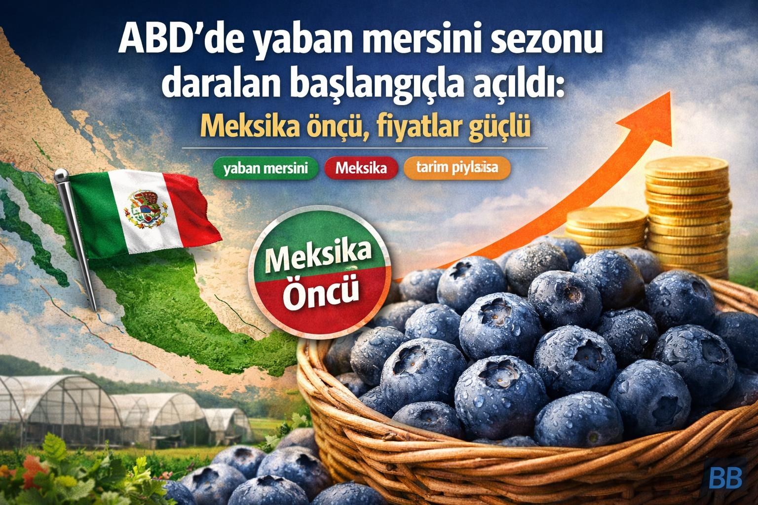 ABD'de yaban mersini sezonu daralan başlangıçla açıldı: Meksika öncü, fiyatlar güçlü gorseli