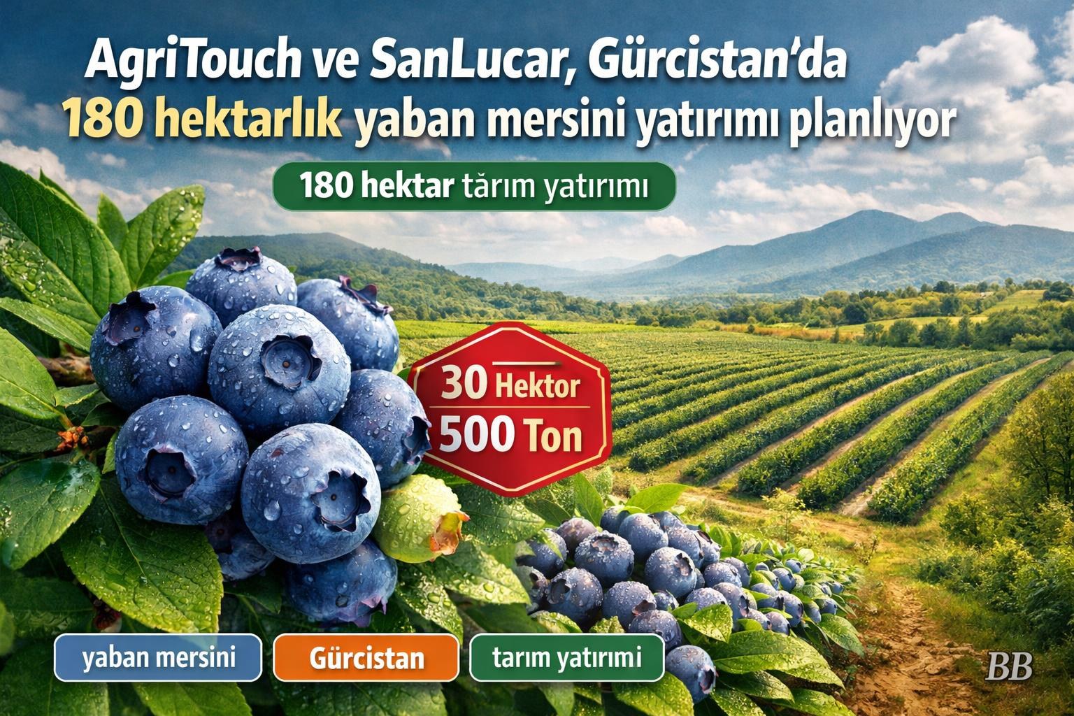 AgriTouch ve SanLucar, Gürcistan’da 180 hektarlık yaban mersini yatırımı planlıyor görseli