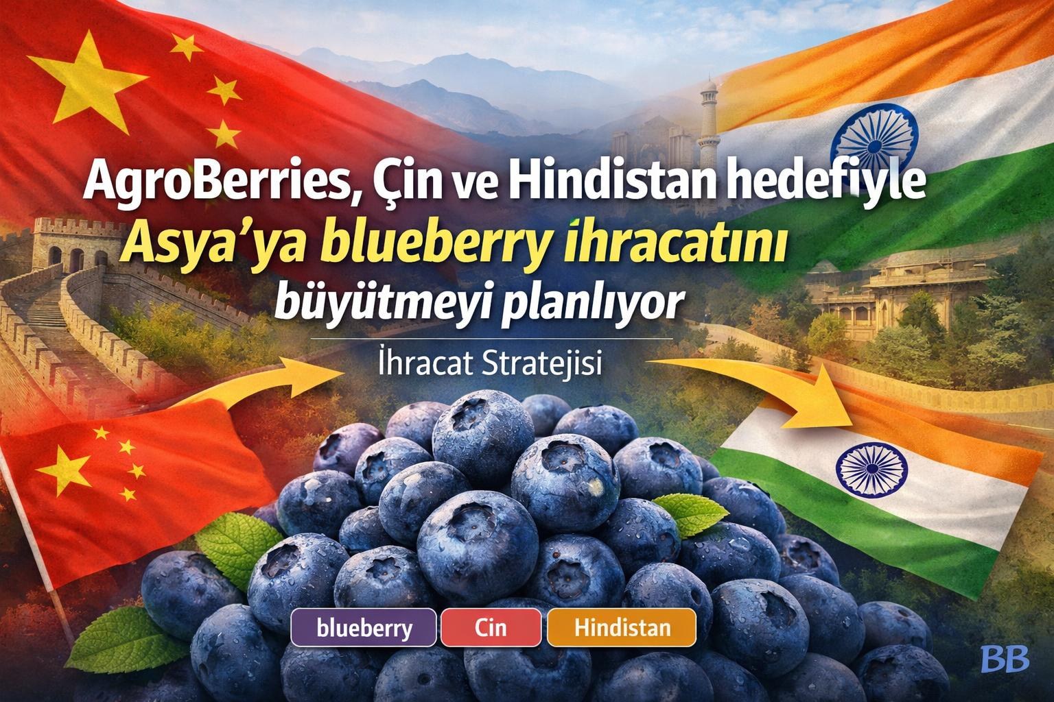 AgroBerries, Çin ve Hindistan hedefiyle Asya’ya blueberry ihracatını büyütmeyi planlıyor gorseli