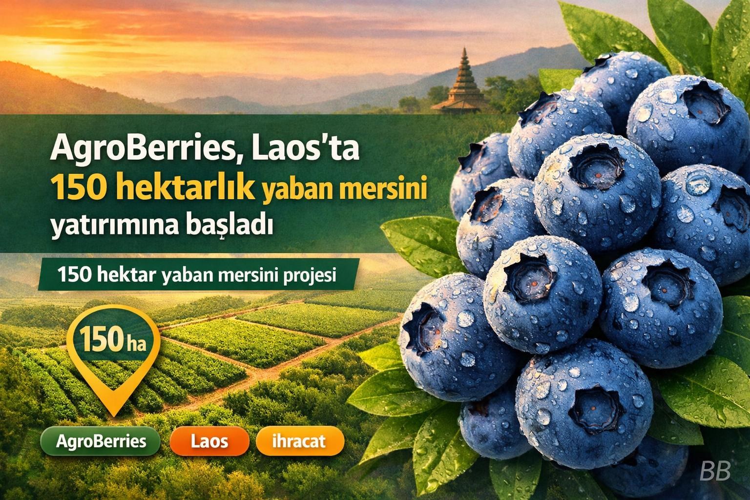 AgroBerries, Laos'ta 150 hektarlık yaban mersini yatırımına başladı gorseli