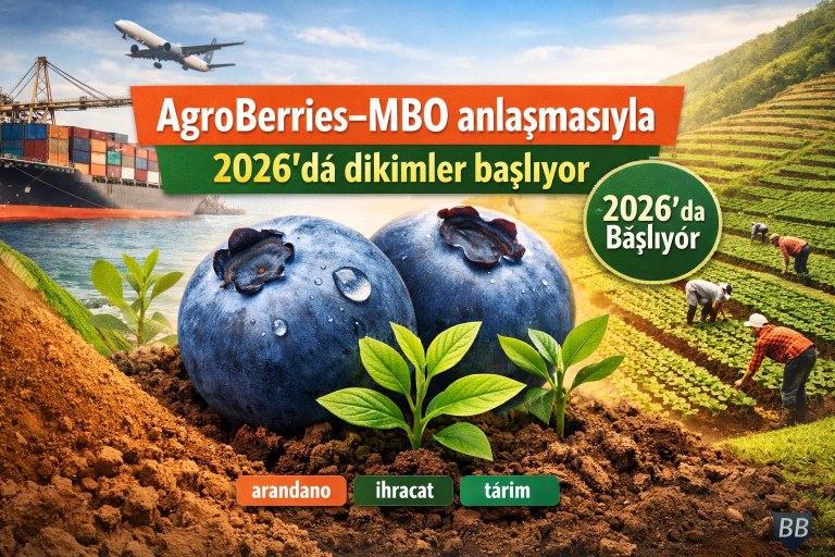 AgroBerries, Mountain Blue Orchards ile küresel lisanslarını genişletti: Yeni arızȧlı plantasyonlar 2026'da başlıyor görseli
