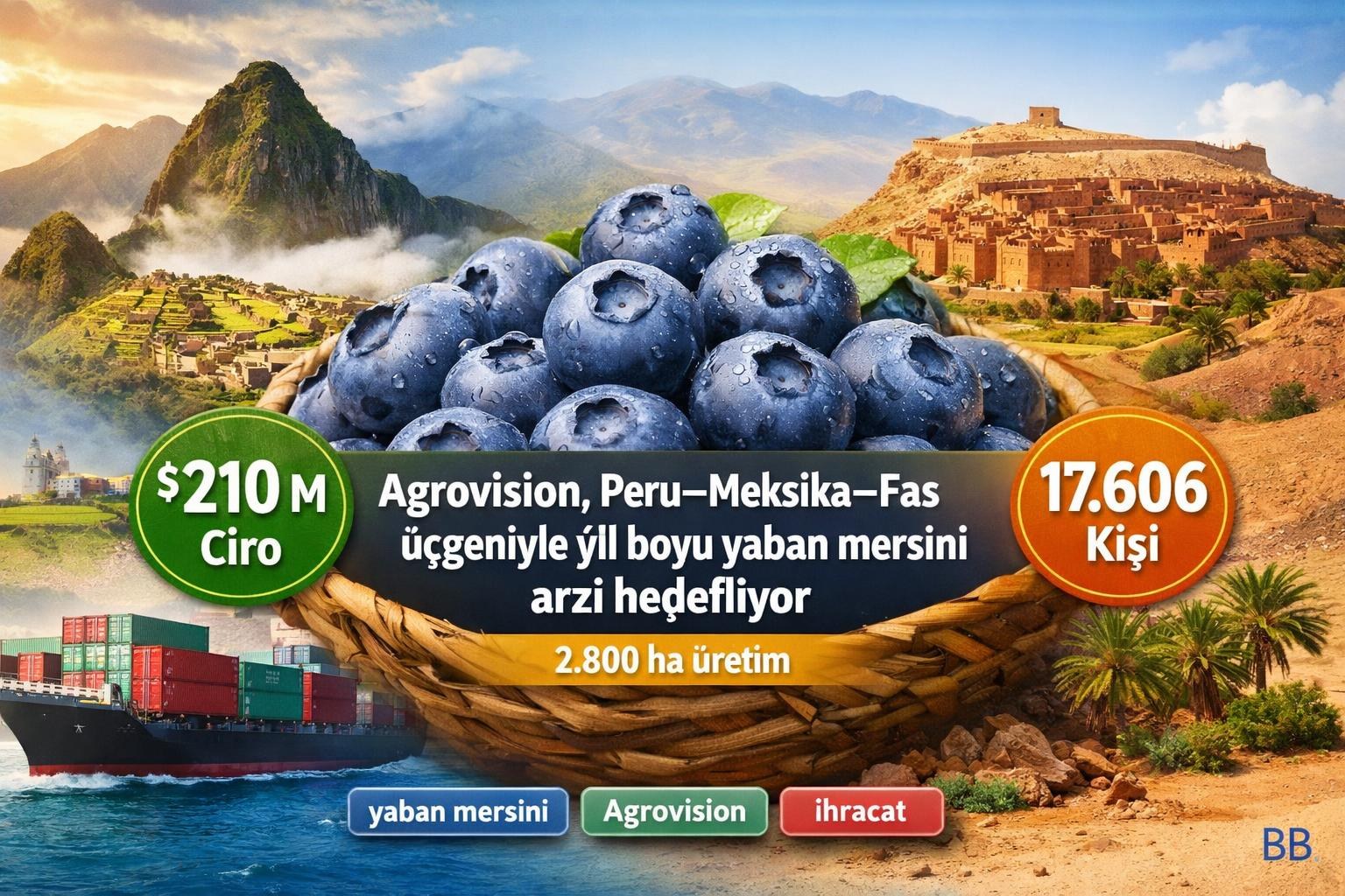 Agrovision, Peru–Meksika–Fas üçgeniyle yıl boyu yaban mersini arzı hedefliyor görseli