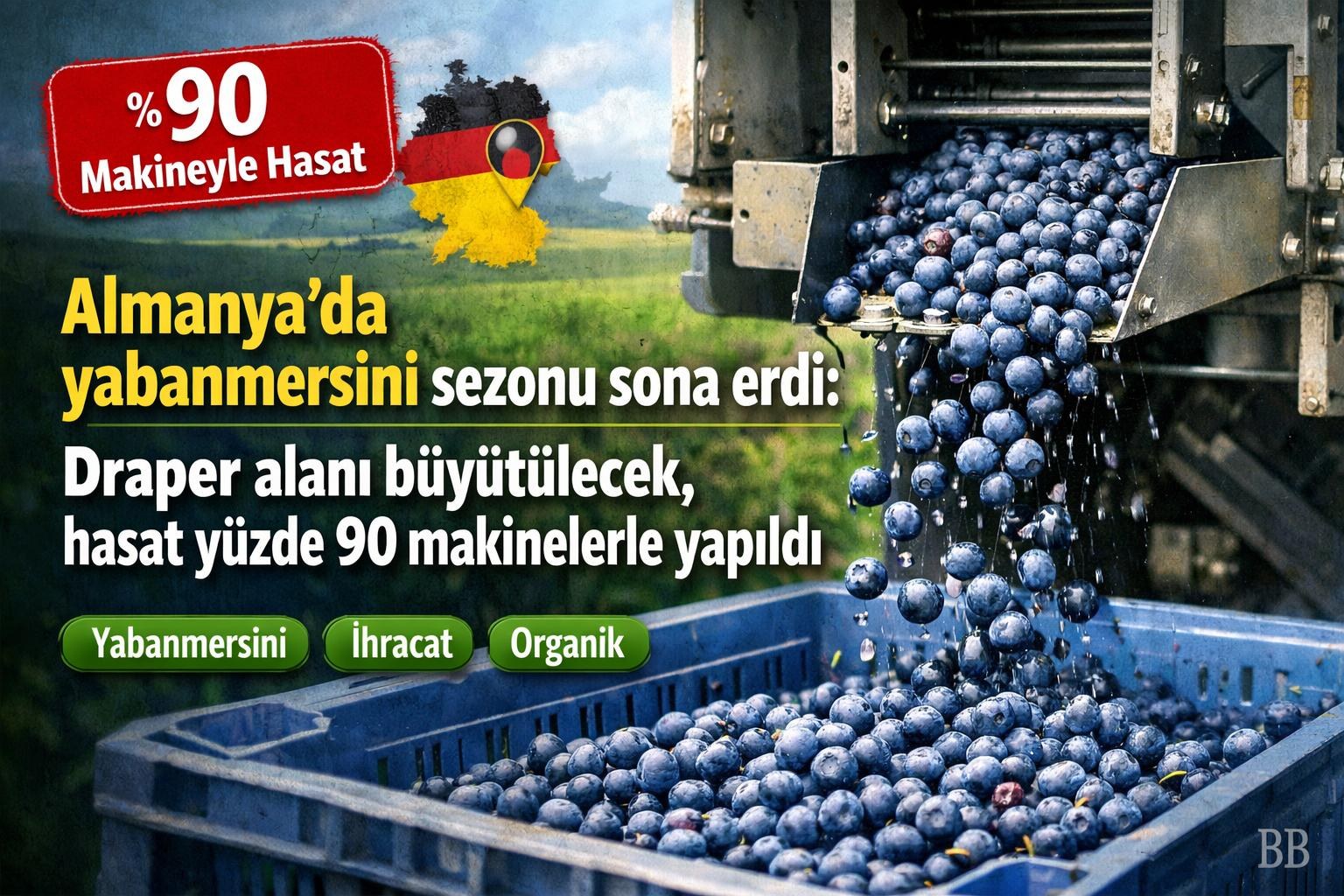 Almanya'da yabanmersini sezonu sona erdi: Draper alanı büyütülecek, hasat yüzde 90 makinelerle yapıldı görseli