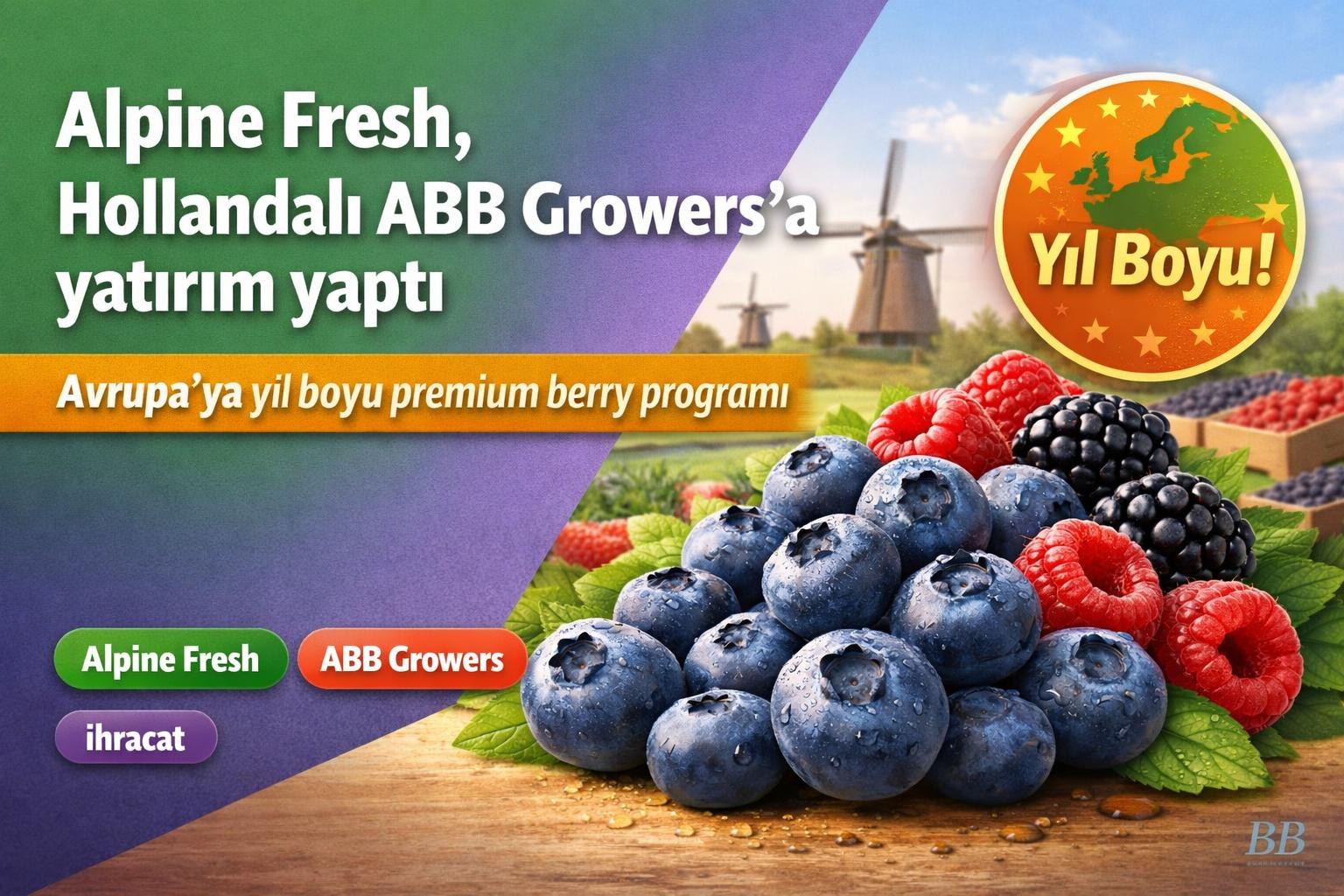 Alpine Fresh, Hollandalı ABB Growers'a yatırım yaptı — Avrupa'ya yıl boyu premium berry programı görseli