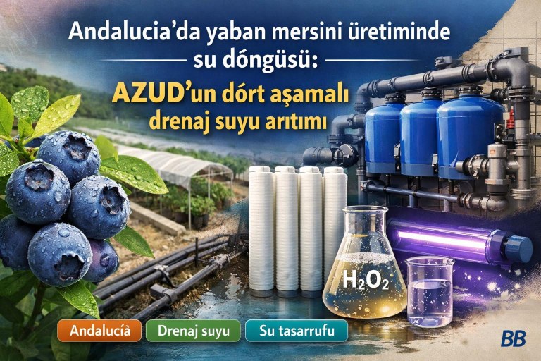 Andalucía'da yaban mersini üretiminde su döngüsü: AZUD'un dört aşamalı drenaj suyu arıtımı görseli