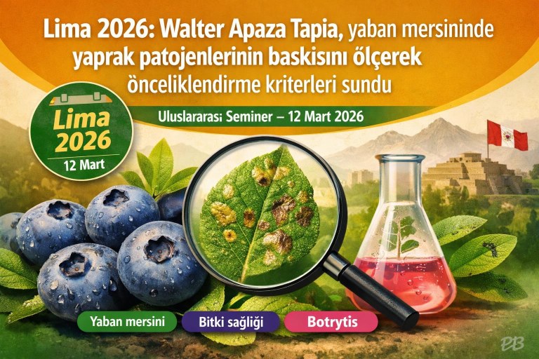 Lima 2026: Walter Apaza Tapia, yaban mersininde yaprak patojenlerinin baskısını ölçerek önceliklendirme kriterleri sundu görseli