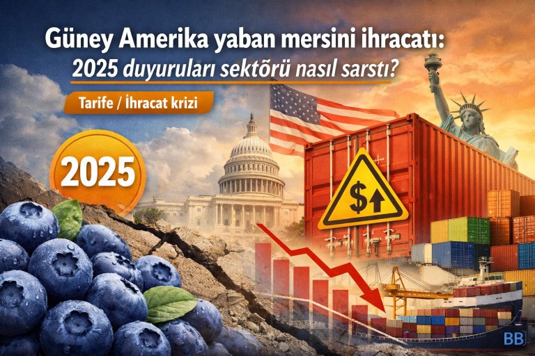 Güney Amerika yaban mersini ihracatı: 2025 duyuruları sektörü nasıl sarstı? görseli
