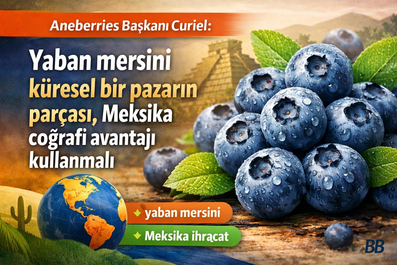 Aneberries Başkanı Curiel: Yaban mersini küresel bir pazarın parçası, Meksika coğrafi avantajı kullanmalı görseli