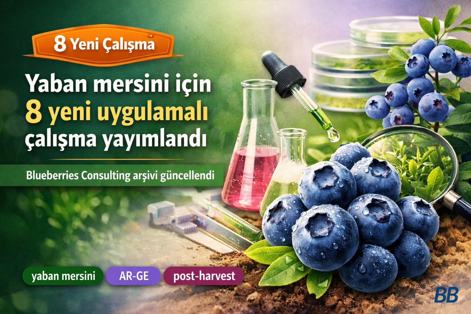 Yaban mersini için 8 yeni uygulamalı çalışma yayımlandı — Blueberries Consulting arşivi güncellendi görseli
