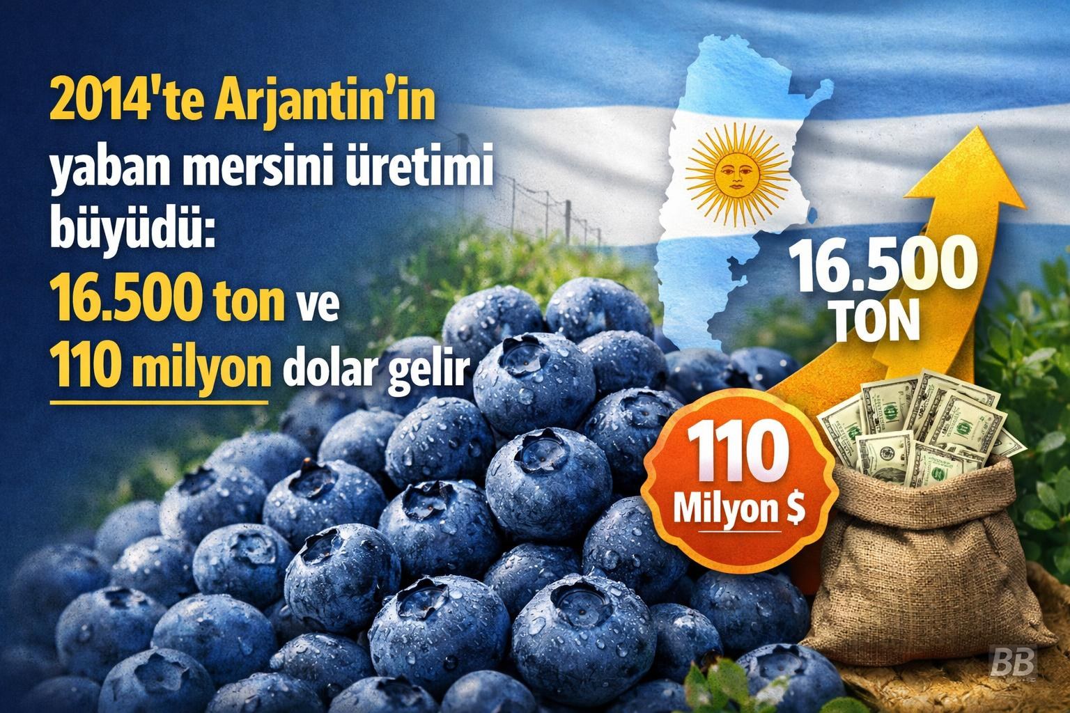 2014'te Arjantin'in yaban mersini üretimi büyüdü: 16.500 ton ve 110 milyon dolar gelir görseli