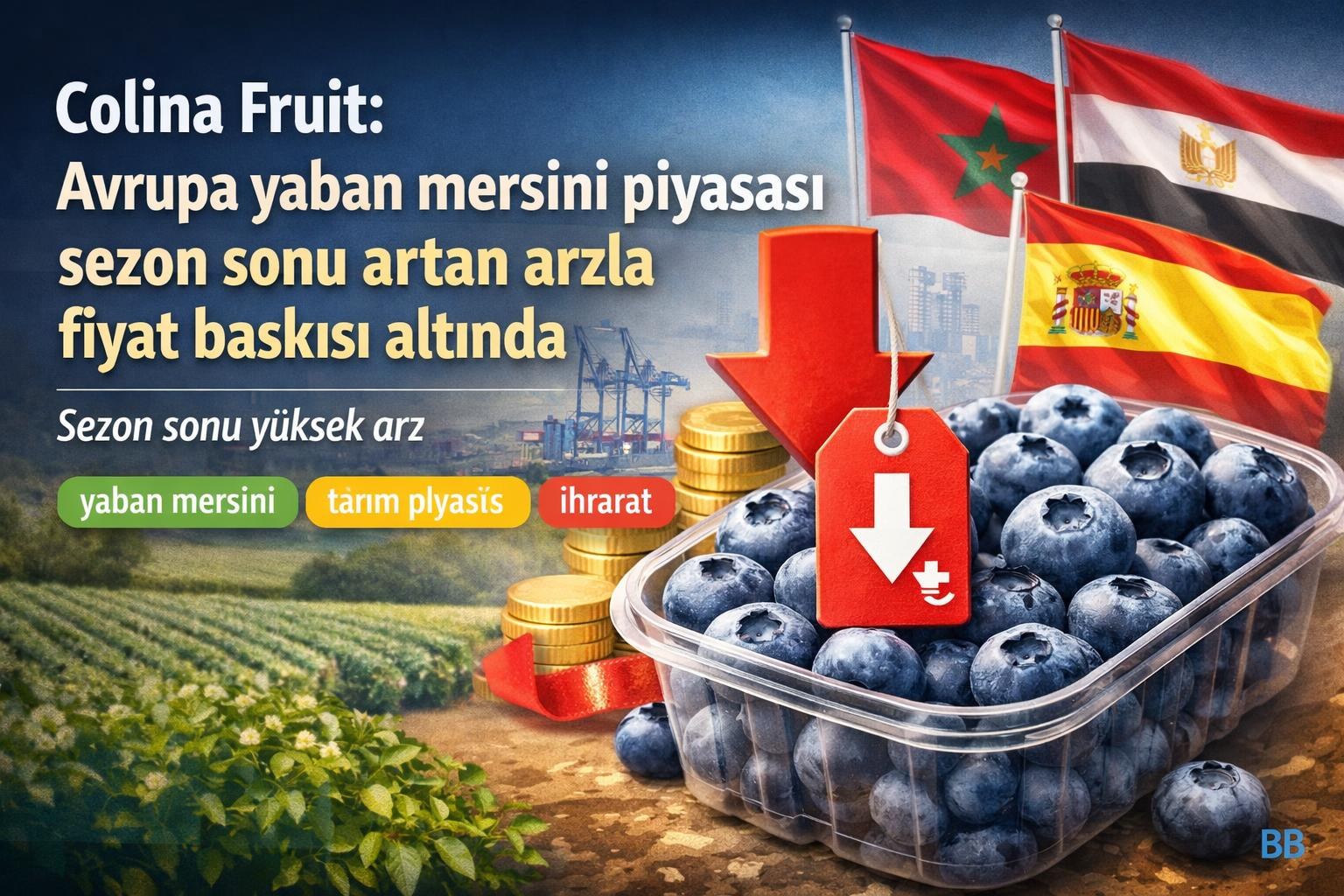 Colina Fruit: Avrupa yaban mersini piyasası sezon sonu artan arzla fiyat baskısı altında gorseli