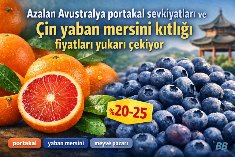 Azalan Avustralya portakal sevkiyatları ve Çin yaban mersini kıtlığı fiyatları yukarı çekiyor görseli