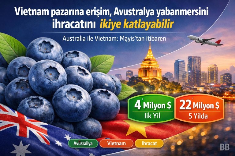 Vietnam pazarına erişim, Avustralya yabanmersini ihracatını ikiye katlayabilir görseli