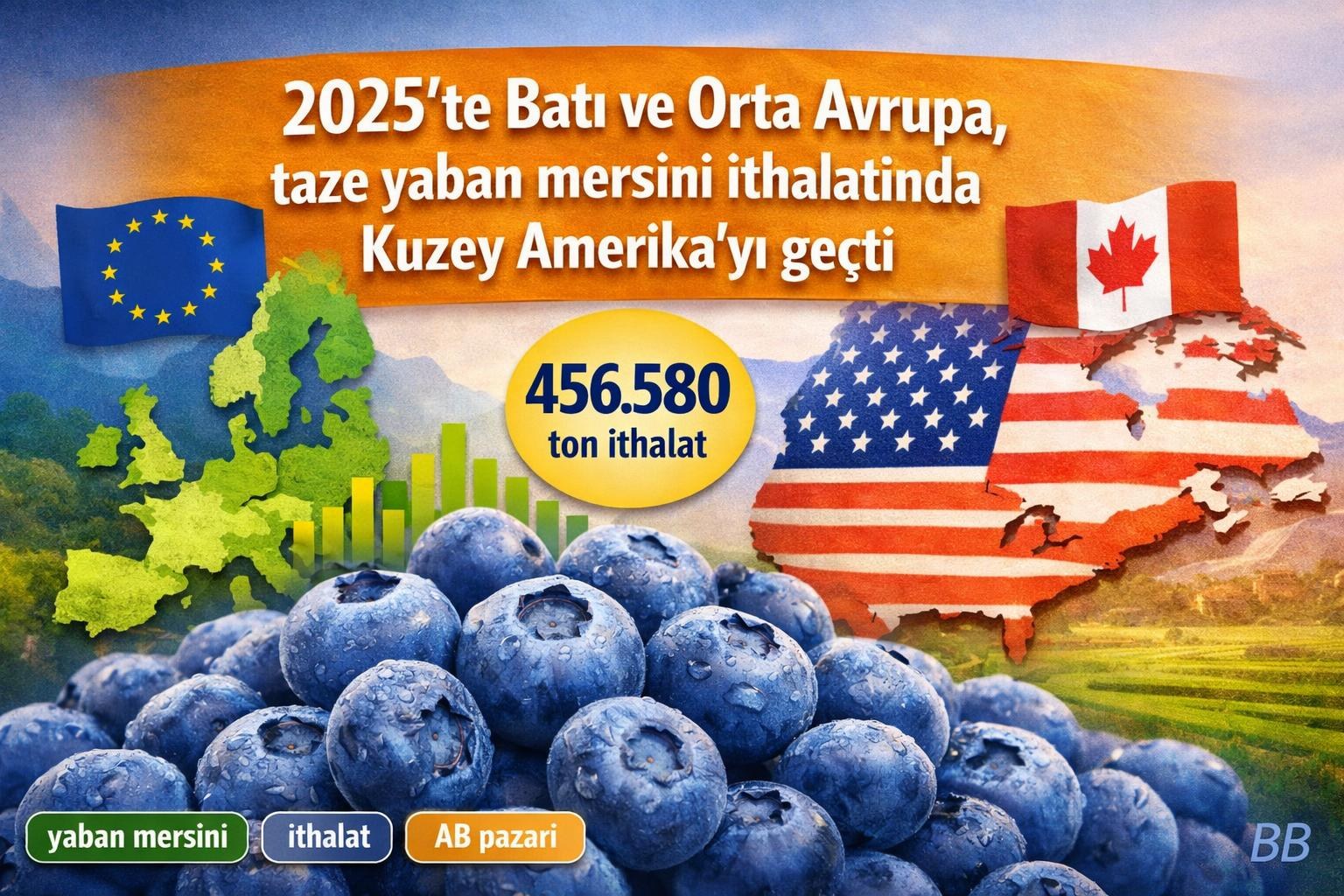 2025'te Batı ve Orta Avrupa, taze yaban mersini ithalatında Kuzey Amerika'yı geçti görseli