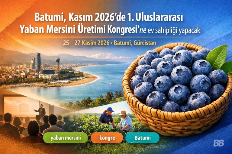 Batumi, Kasım 2026’de 1. Uluslararası Yaban Mersini Üretimi Kongresi’ne ev sahipliği yapacak görseli
