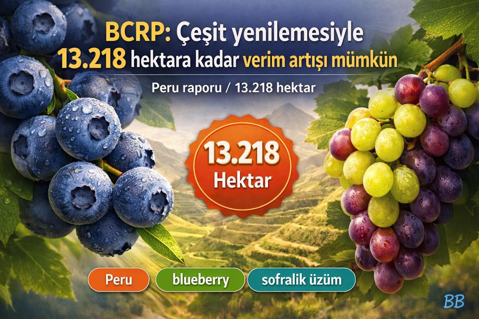 BCRP: Çeşit yenilemesiyle 13.218 hektara kadar verim artışı mümkün görseli