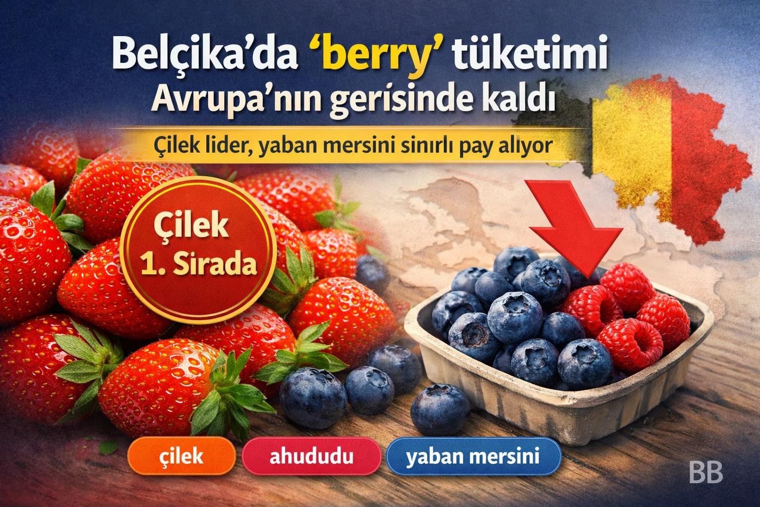 Belçika'da 'berry' tüketimi Avrupa'nın gerisinde kaldı: Çilek lider, yaban mersini sınırlı pay alıyor görseli