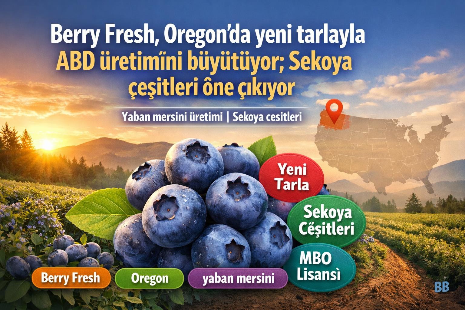 Berry Fresh, Oregon'da yeni tarlayla ABD üretimini büyütüyor; Sekoya çeşitleri öne çıkıyor görseli