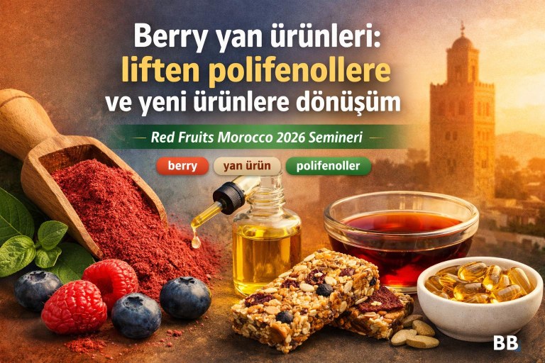 Berry yan ürünleri: liften polifenollere ve yeni ürünlere dönüşüm görseli
