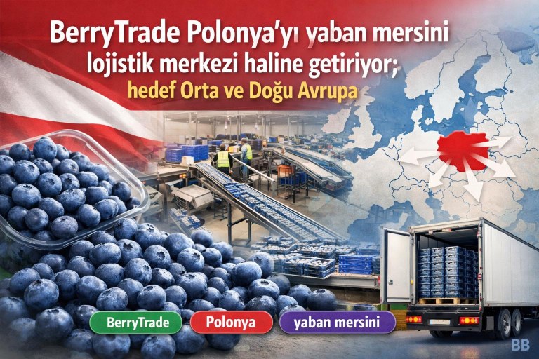 BerryTrade Polonya'yı yaban mersini lojistik merkezi haline getiriyor; hedef Orta ve Doğu Avrupa görseli
