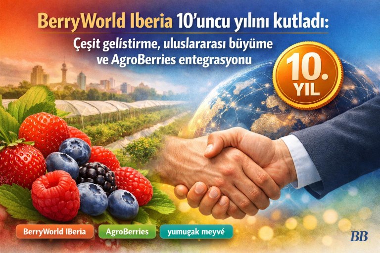 BerryWorld Iberia 10’uncu yılını kutladı: Çeşit geliştirme, uluslararası büyüme ve AgroBerries entegrasyonu görseli
