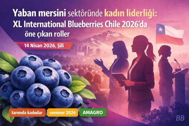 Yaban mersini sektöründe kadın liderliği: XL International Blueberries Chile 2026'da öne çıkan roller görseli