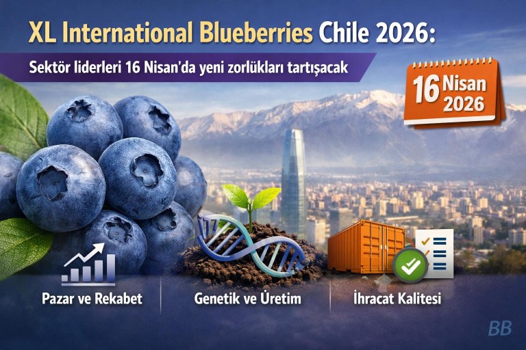 XL International Blueberries Chile 2026: Sektör liderleri 16 Nisan’da yeni zorlukları tartışacak görseli