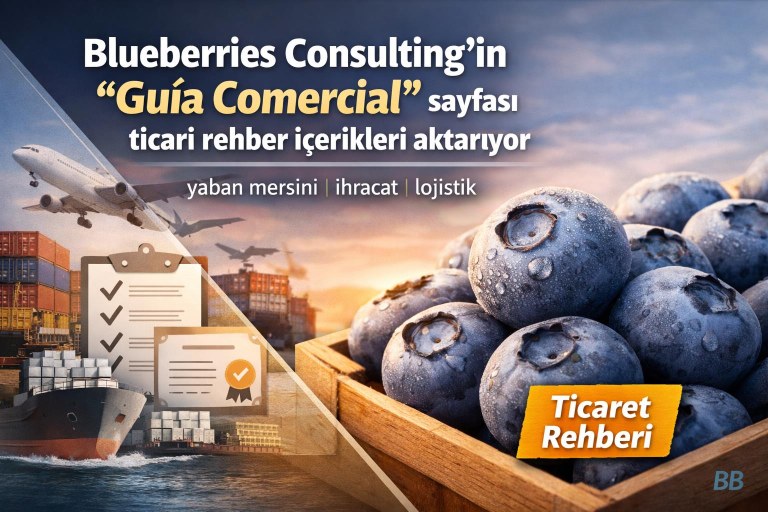Blueberries Consulting sitesi ‘Guía Comercial’ başlıklı ticaret rehberi sunuyor (aktarılıyor) görseli
