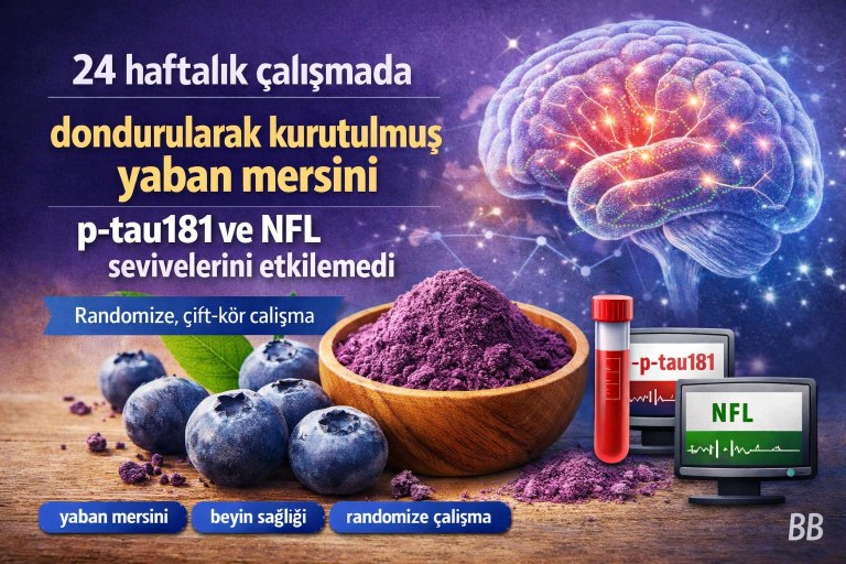 24 haftalık çalışmada dondurularak kurutulmuş yaban mersini p‑tau181 ve NFL seviyelerini etkilemedi görseli