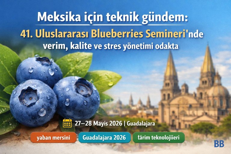 Meksika için teknik gündem: 41. Uluslararası Blueberries Semineri'nde verim, kalite ve stres yönetimi odakta görseli