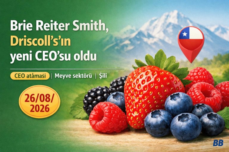 Brie Reiter Smith, Driscoll's'ın yeni CEO'su oldu görseli