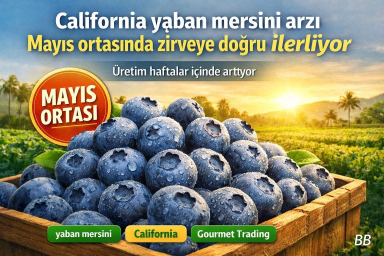 California yaban mersini arzı Mayıs ortasında zirveye doğru ilerliyor görseli