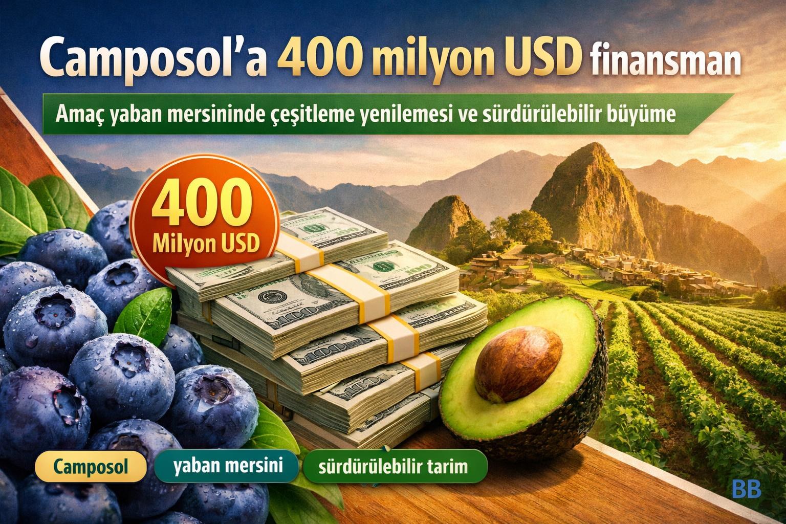 Camposol’a 400 milyon USD finansman: Amaç yaban mersininde çeşitleme yenilemesi ve sürdürülebilir büyüme gorseli