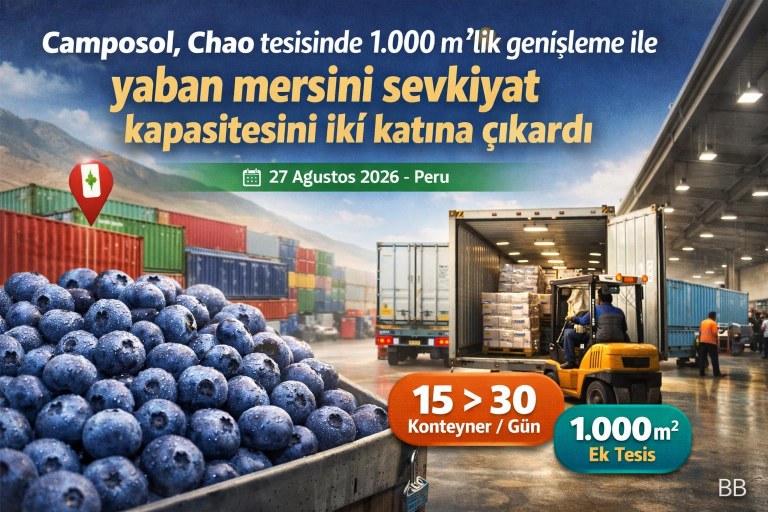 Camposol, Chao tesisinde 1.000 m²'lik genişleme ile yaban mersini sevkiyat kapasitesini iki katına çıkardı görseli