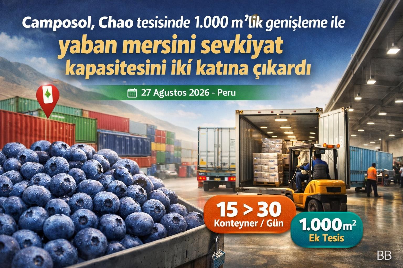 Camposol, Chao tesisinde 1.000 m²'lik genişleme ile yaban mersini sevkiyat kapasitesini iki katına çıkardı gorseli