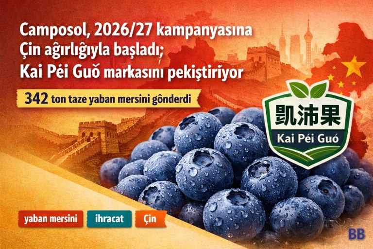 Camposol, 2026/27 kampanyasına Çin ağırlığıyla başladı; Kai Péi Guǒ markasını pekiştiriyor görseli
