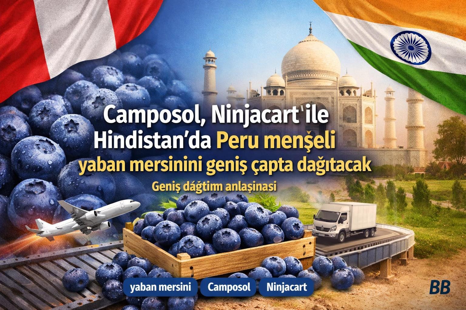 Camposol, Ninjacart ile Hindistan’da Peru menşeli yaban mersinini geniş çapta dağıtacak görseli