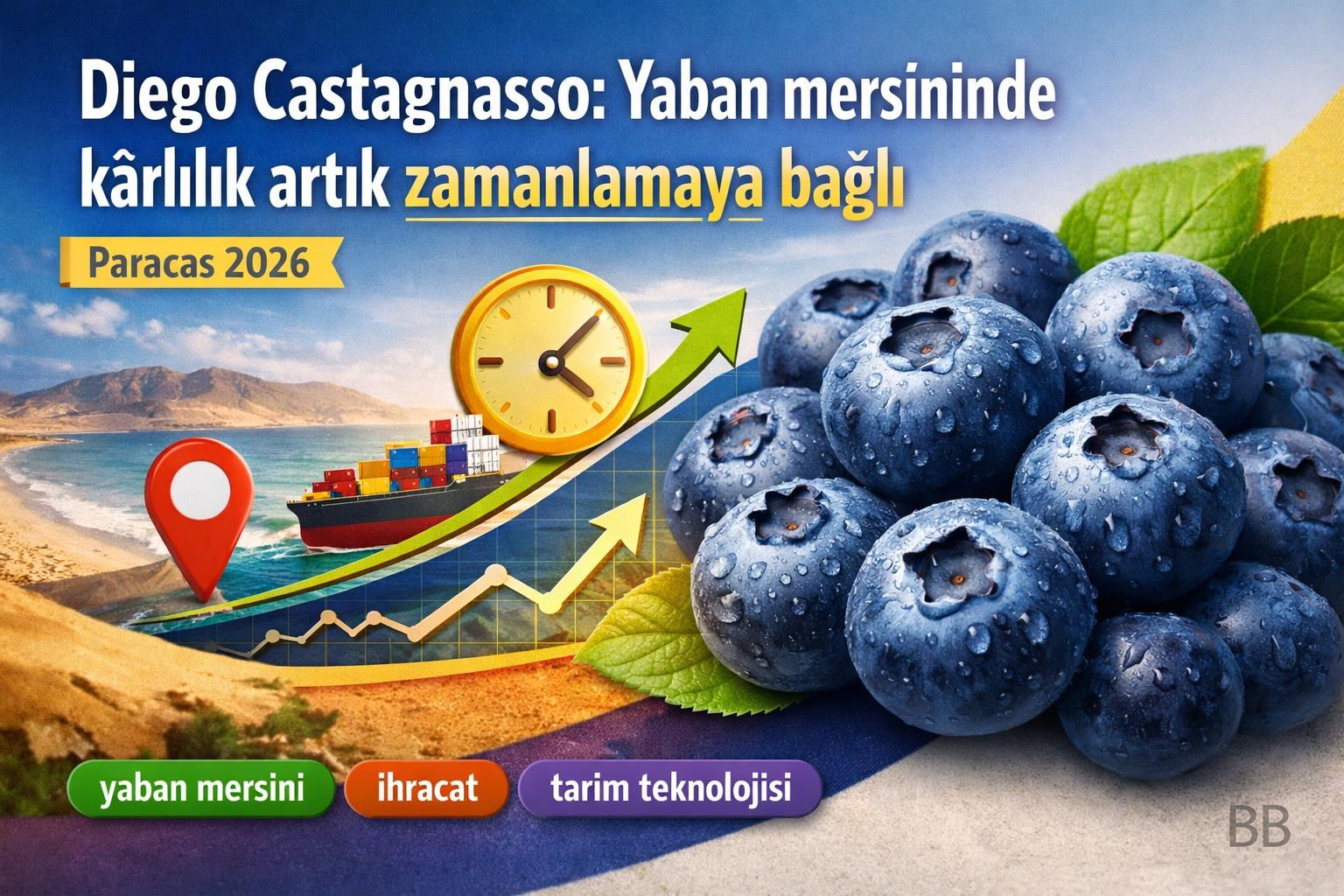 Diego Castagnasso: Yaban mersininde kârlılık artık zamanlamaya bağlı görseli