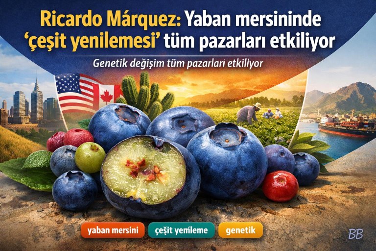 Ricardo Márquez: Yaban mersininde 'çeşit yenilemesi' tüm pazarları etkiliyor görseli