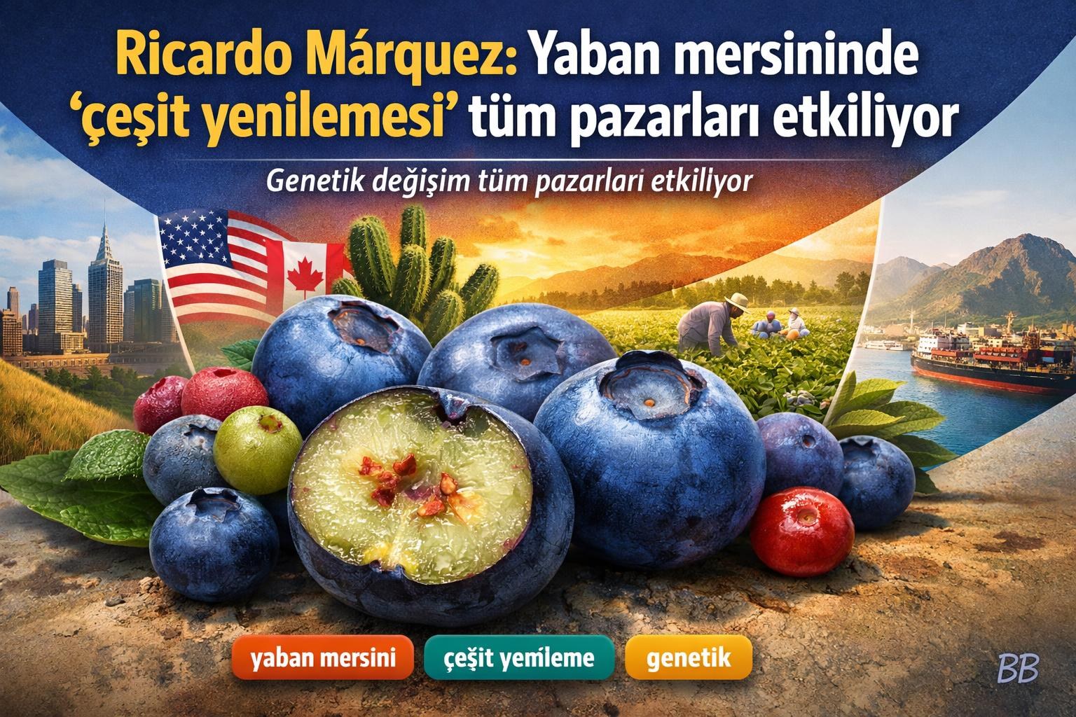 Ricardo Márquez: Yaban mersininde 'çeşit yenilemesi' tüm pazarları etkiliyor gorseli