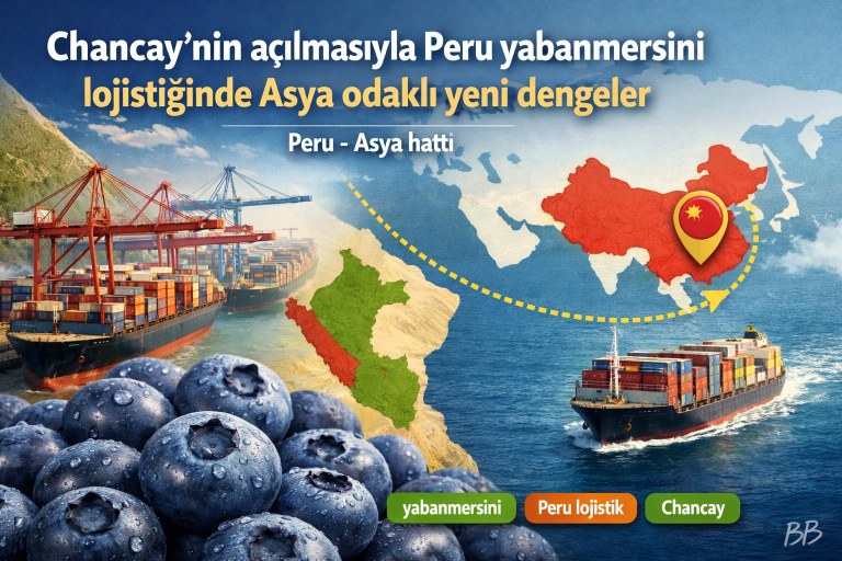 Chancay'nin açılmasıyla Peru yabanmersini lojistiğinde Asya odaklı yeni dengeler görseli